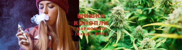 меф Арсеньев