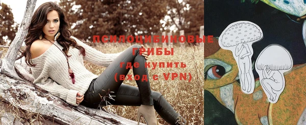 меф Арсеньев