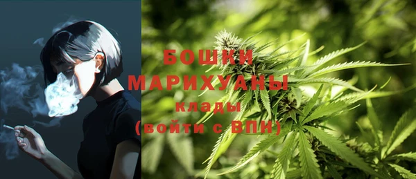 МДПВ Аркадак