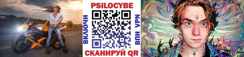 где купить наркотик  Первомайск  Галлюциногенные грибы Psilocybe 